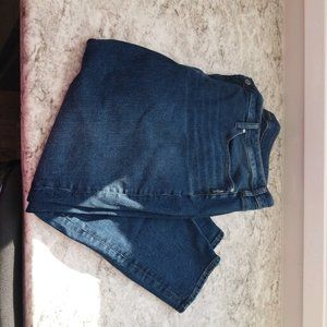 Plus Size Silver Jeans Co. Suki Dark Wash Skinny Jean - 24W Short